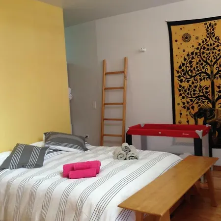 Casa de hóspedes Loft Taipas 2*